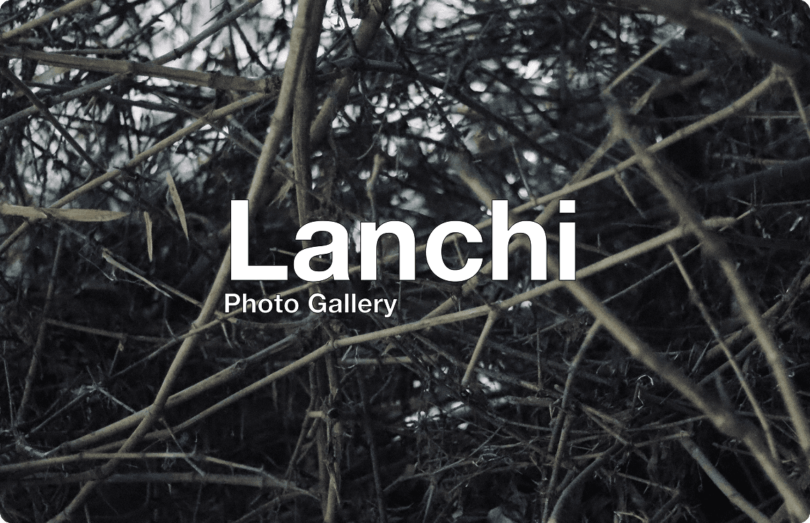 Lanchi Photography